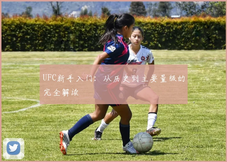 UFC新手入门：从历史到主要量级的完全解读