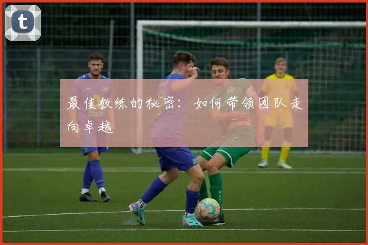 最佳教练的秘密：如何带领团队走向卓越