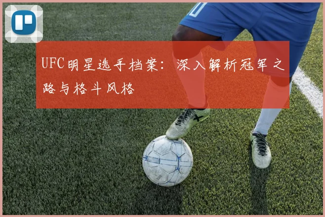UFC明星选手档案：深入解析冠军之路与格斗风格
