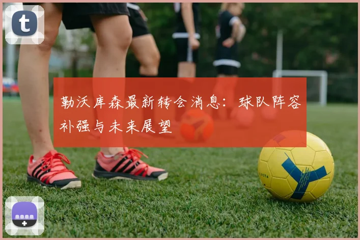 勒沃库森最新转会消息：球队阵容补强与未来展望