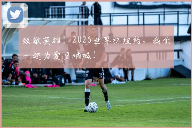 致敬英雄！2026世界杯纽约，我们一起为爱豆呐喊！