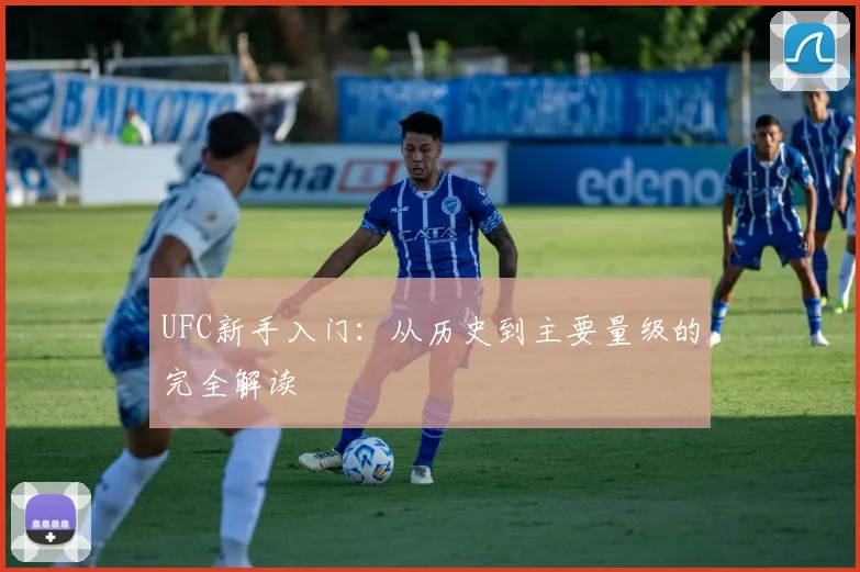 UFC新手入门：从历史到主要量级的完全解读
