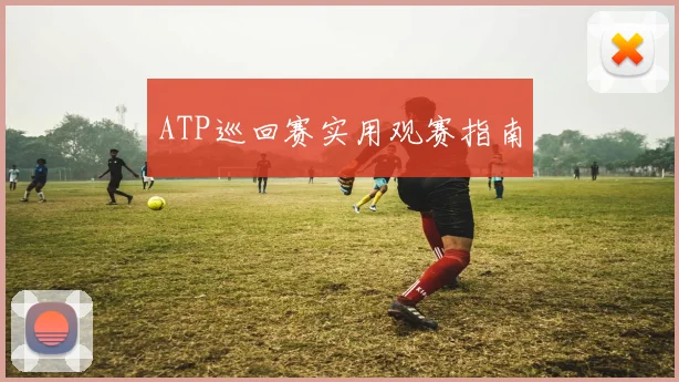 ATP巡回赛实用观赛指南