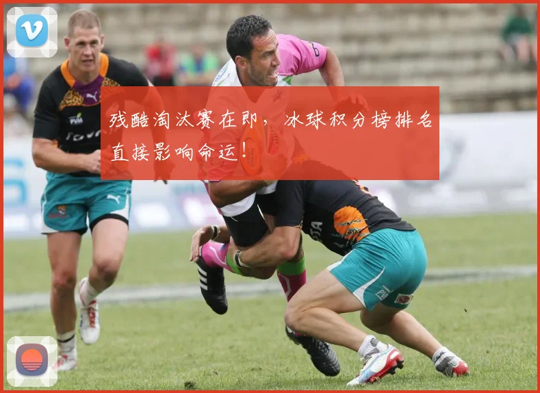 残酷淘汰赛在即，冰球积分榜排名直接影响命运！